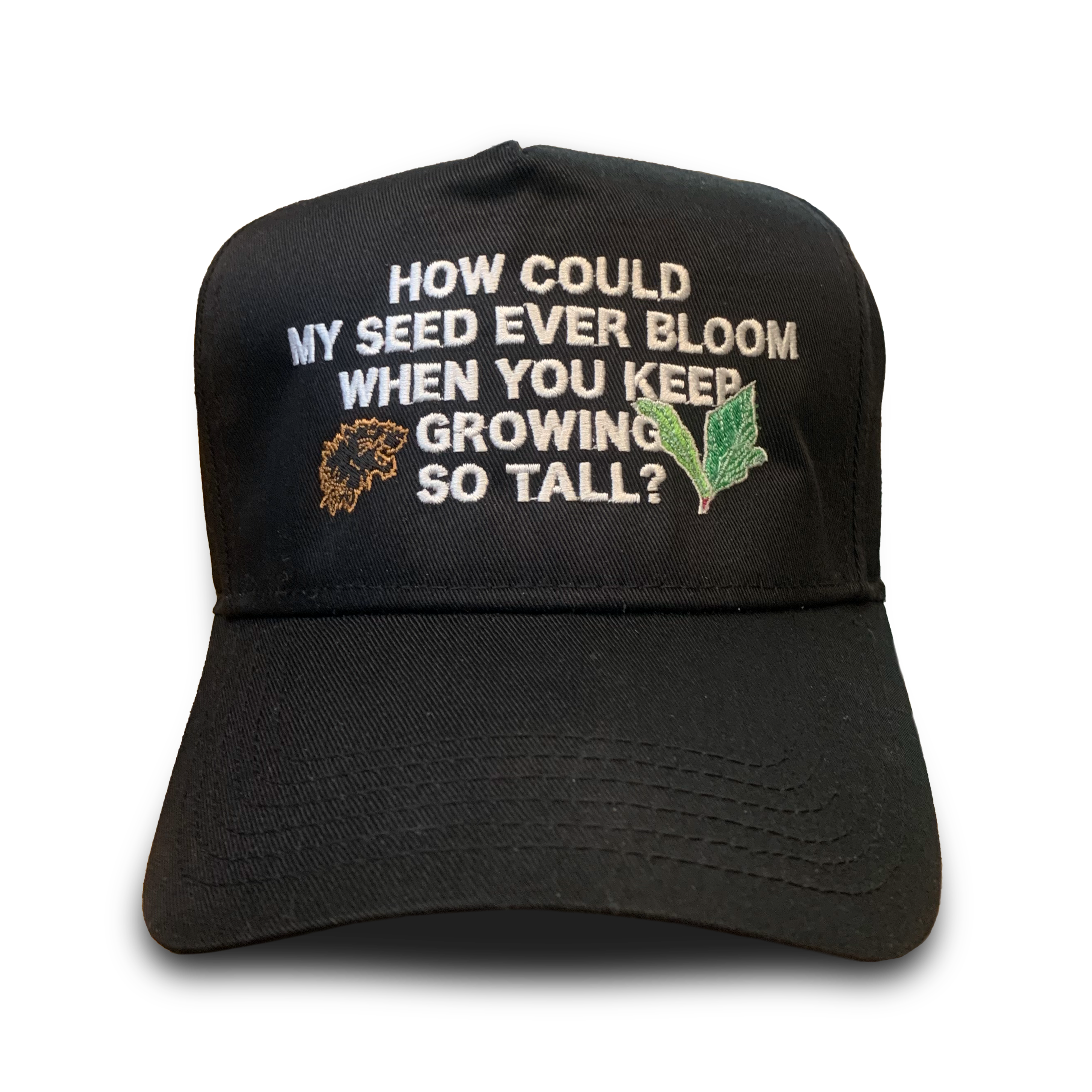 'MASK OF SANITY HAT'